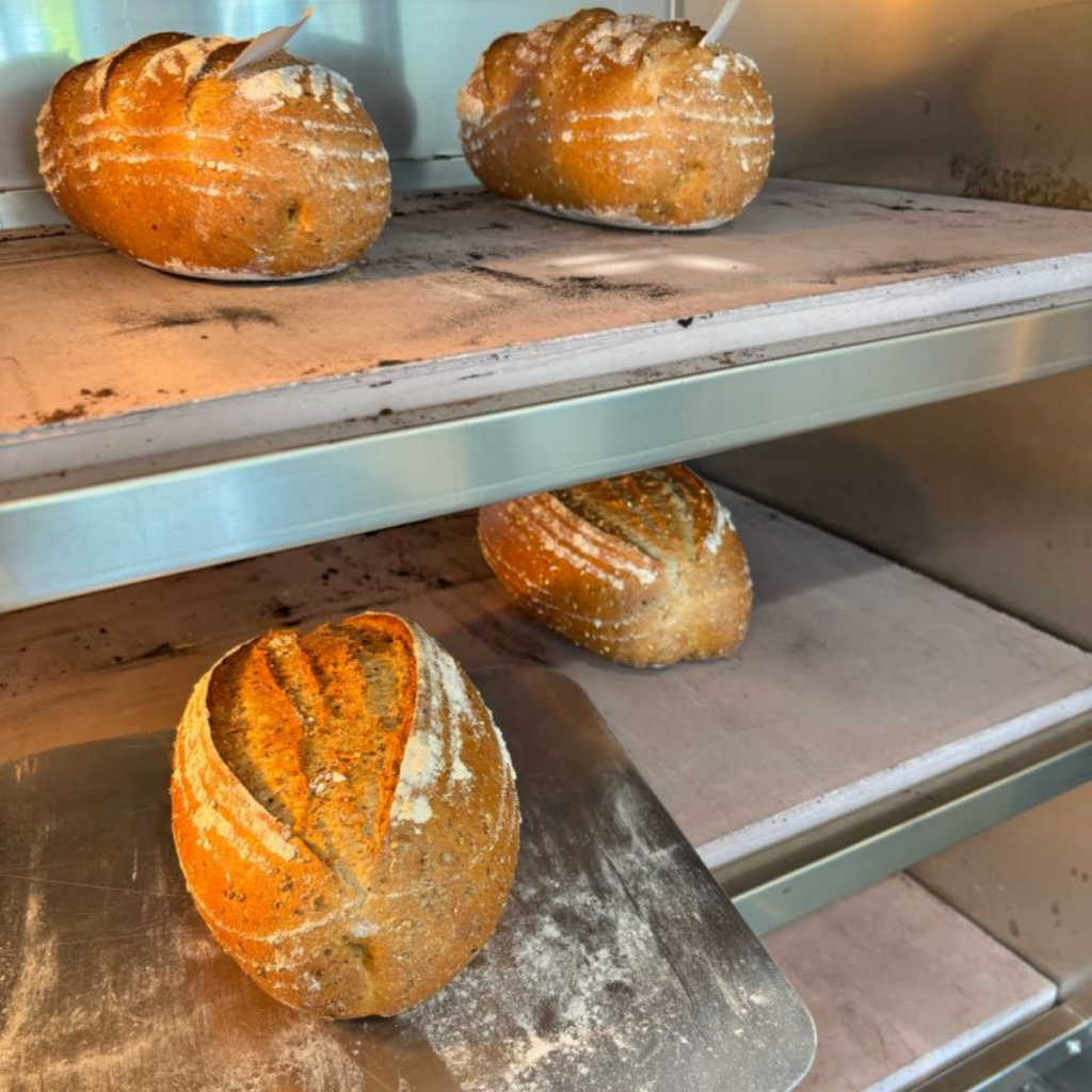 Labelled test loaves baking in the deck oven during a side-by-side malt trial